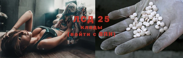 ПСИЛОЦИБИНОВЫЕ ГРИБЫ Алексеевка