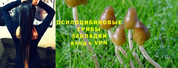 spice Арсеньев